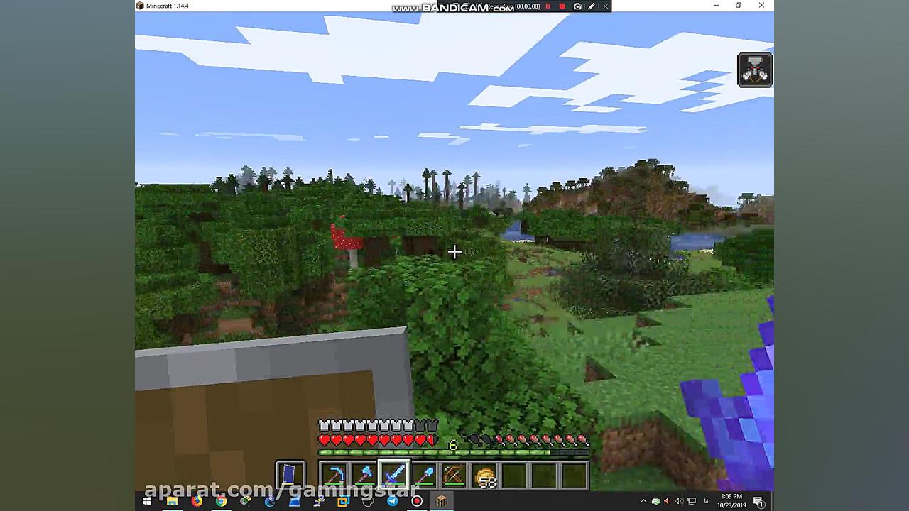 ببین فقط تو