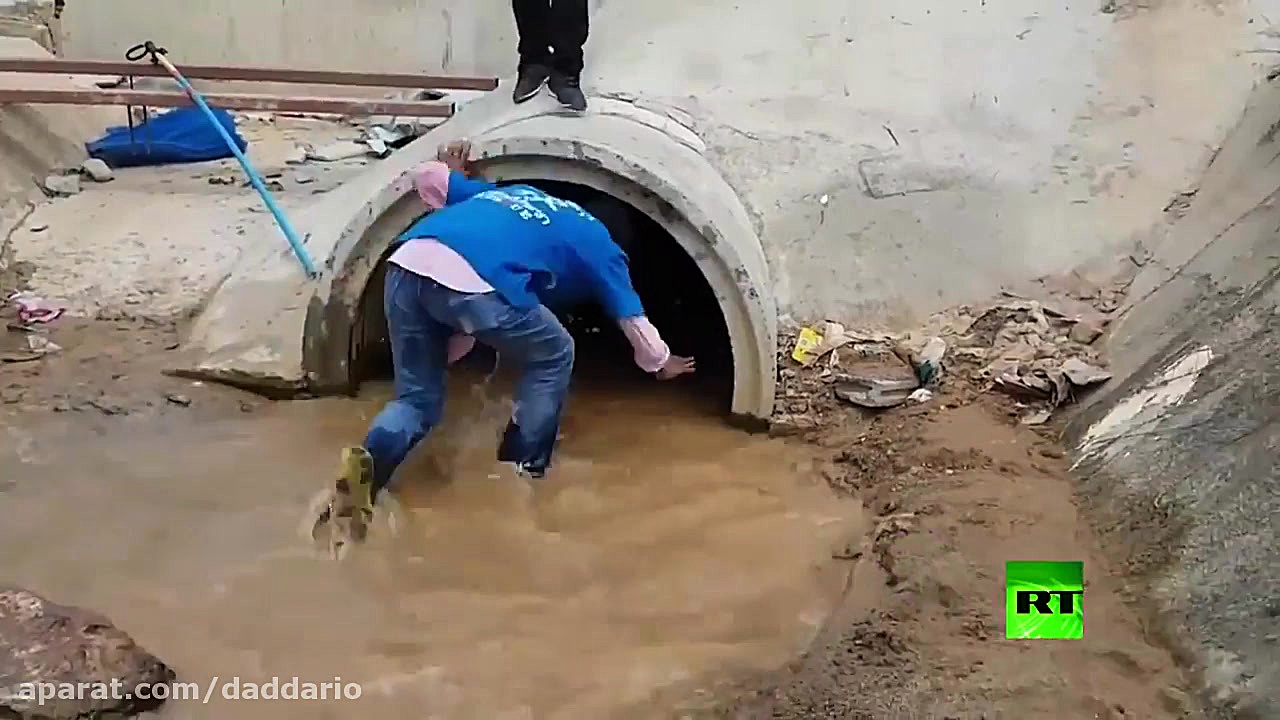 گرفتن مار کبرای 4 متری در تایل...