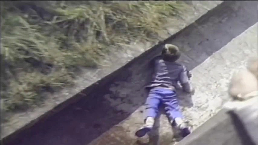 راز بقا  مبارزه حیوانات و انسا...