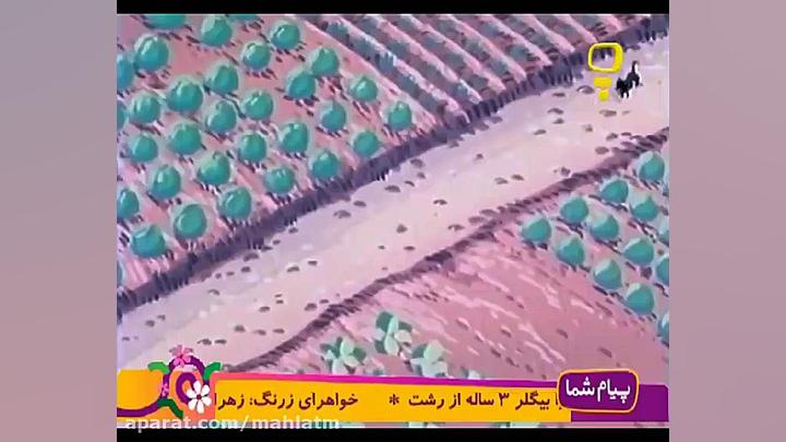 کارتون قدیمی خاله ریزه | نوستا...