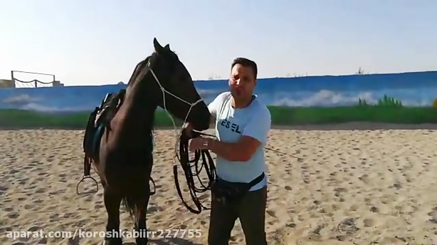 آموزش لنژ. صفحه اینستاگرام ما...