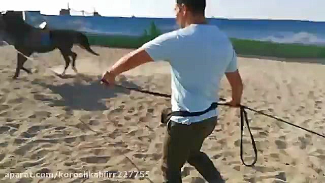 آموزش لنژ. صفحه اینستاگرام ما...