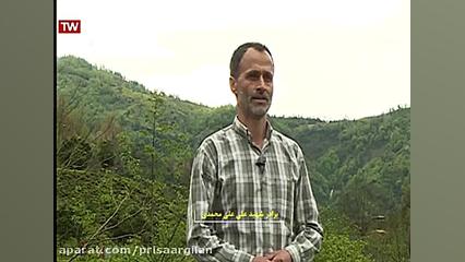 شهید علی علی محمدی