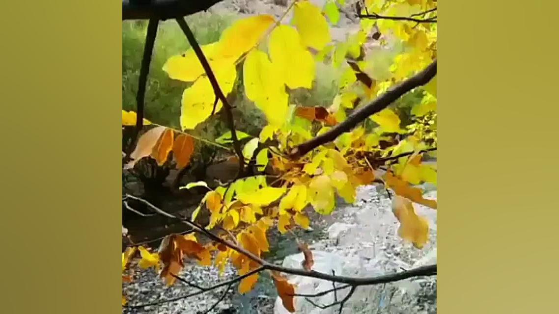 طبیعت و طبیعت گردی