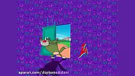 اوگی