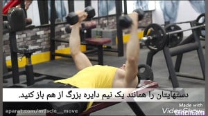 قفسه سینه دمبل