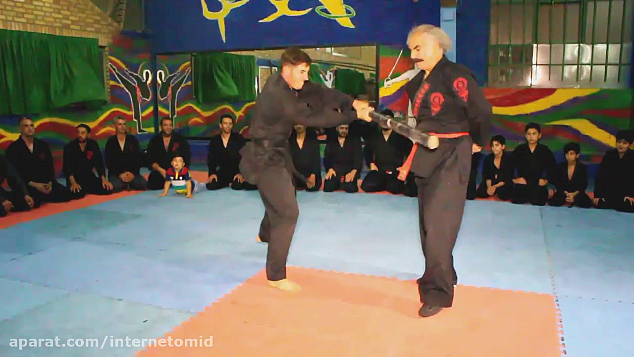 استاد امیر محمد همتی