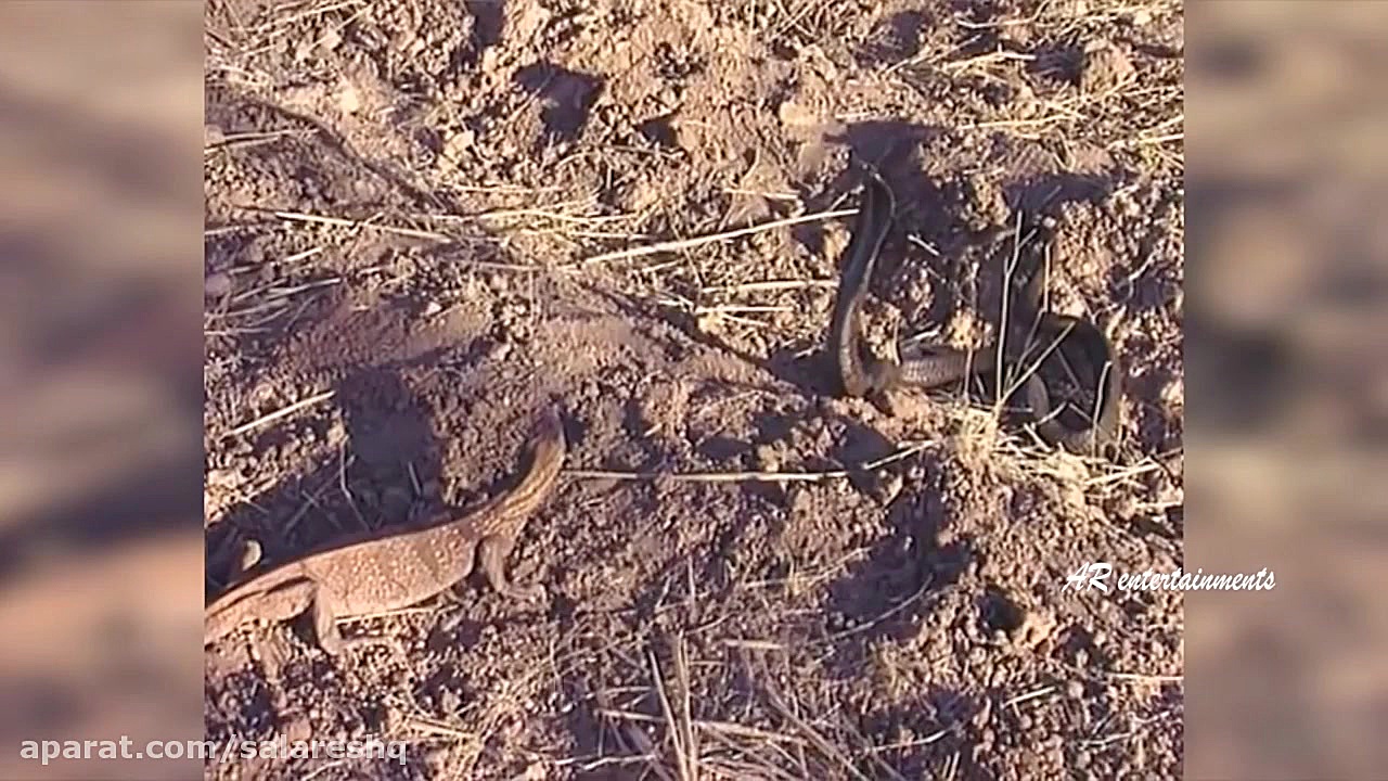 مستند فوق العاده ترسناک جنگ ها...