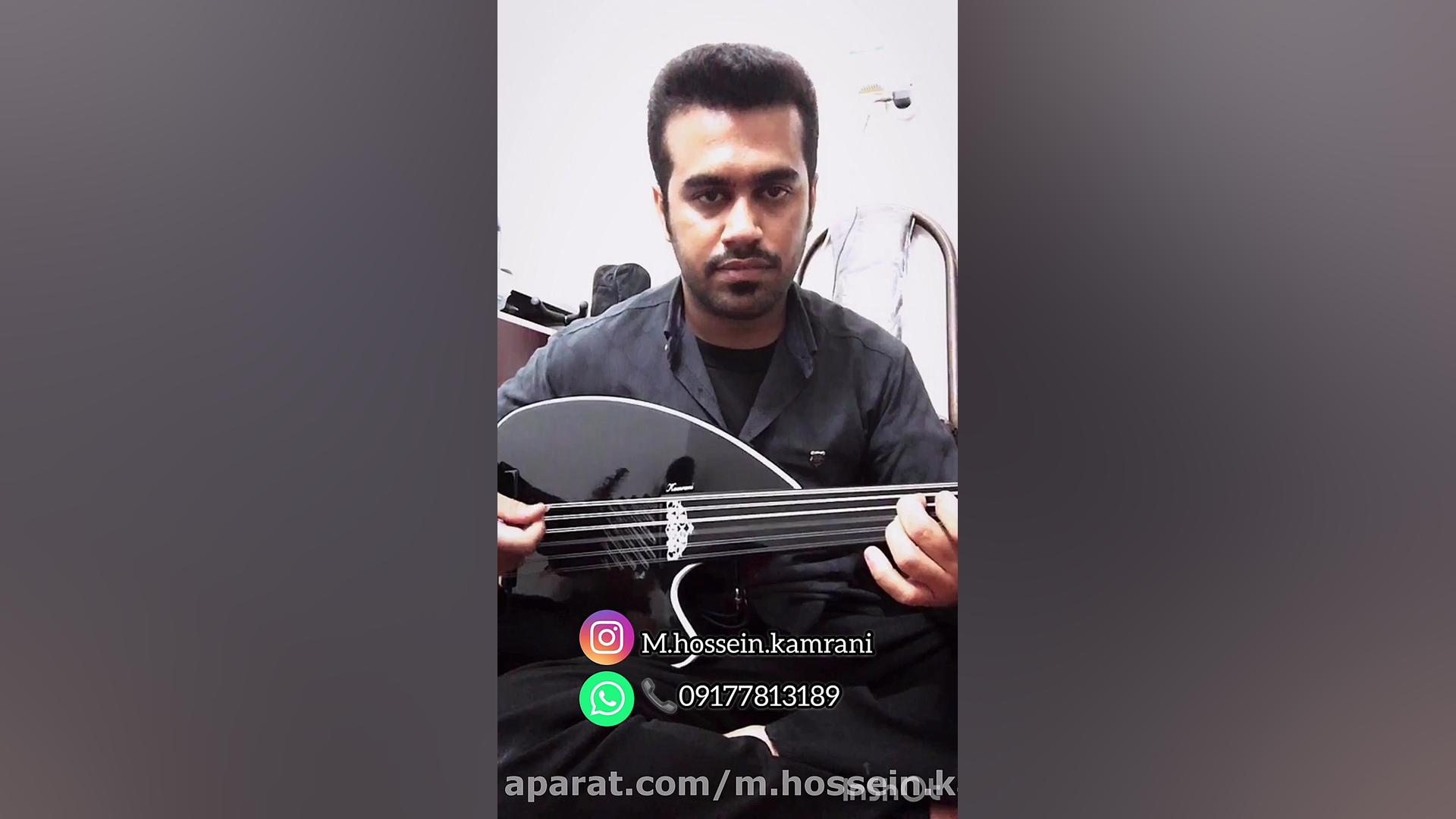 عود الكتروآكوستیك حرفه ای كامر...