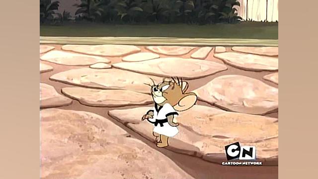 انیمیشن(تام و جری)قسمت ۳۳۰