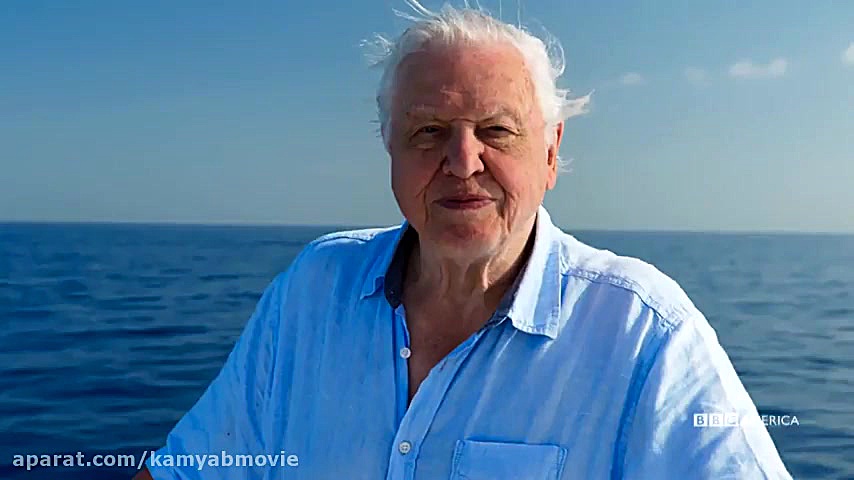 تریلر مستند Blue Planet II 201...