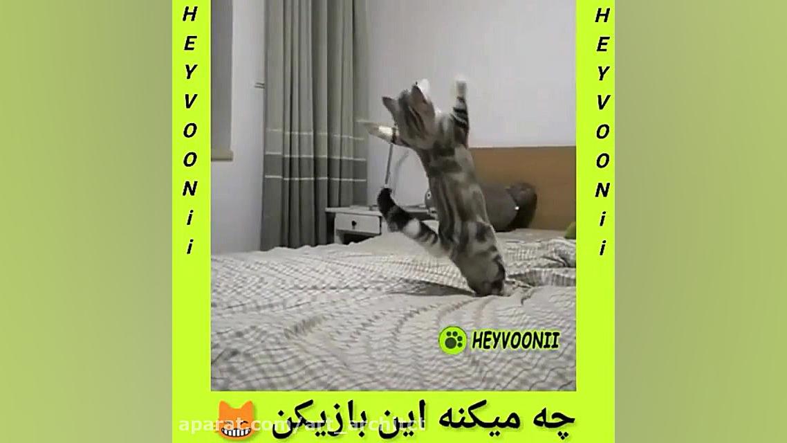 کلیپ طنز جدید حیوانات