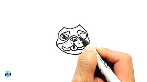 How to Draw a Dog& 039;s Birth...