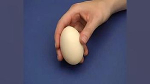 آموزش جوجه کشی از تخم نطفه دار...