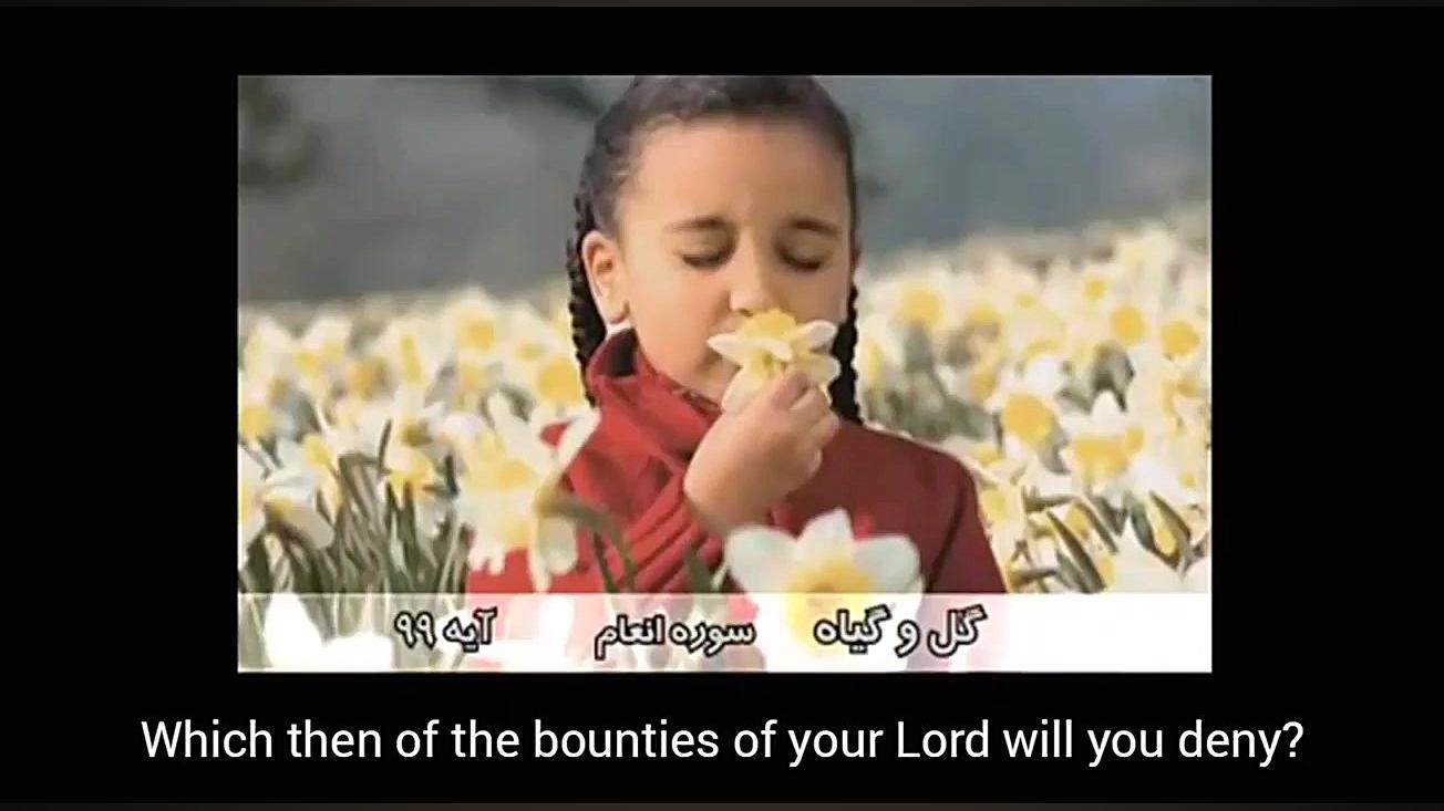 سوره الرحمن بسیار شبکه دو سیما