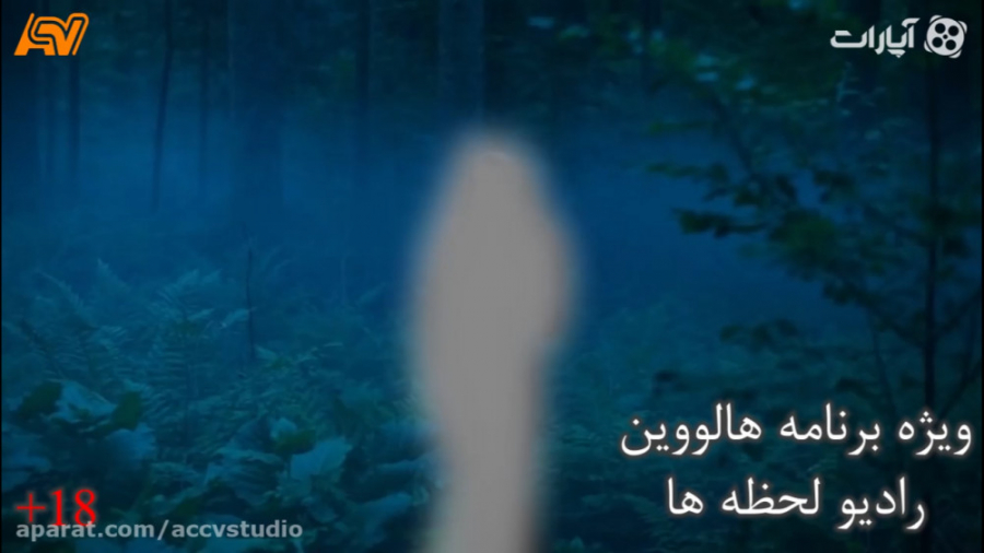 رادیو لحظه ها 42  ویژه برنامه...