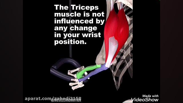 آنالیز تمرین پشت بازو با گیرش...