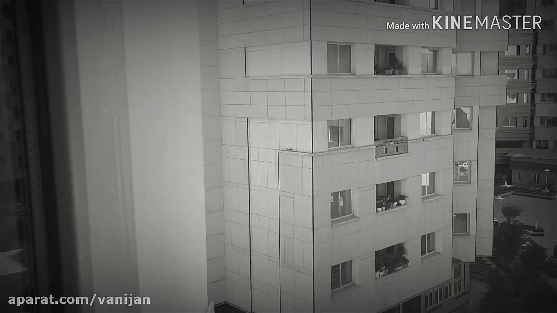 پرنده ای بدبخت و جدا مانده در...