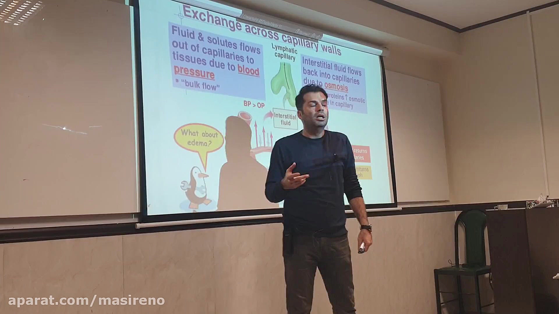 راه های تبادل مواد از مویرگ ها