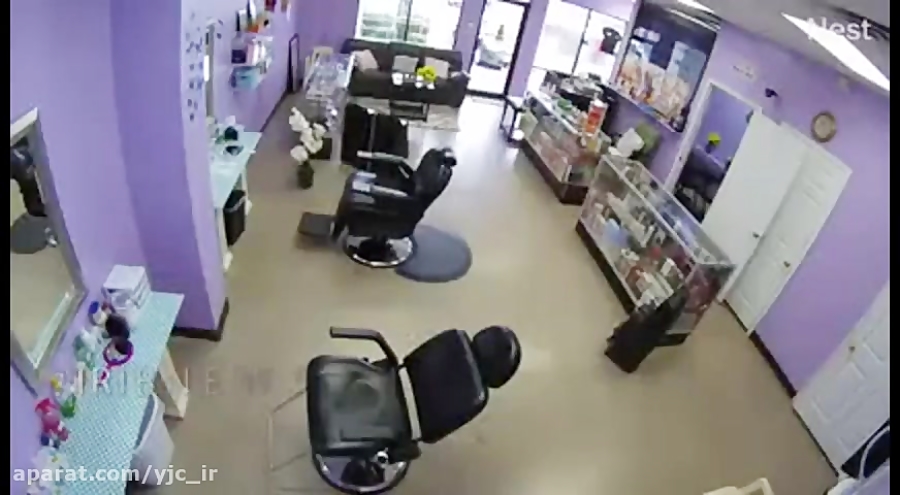 ورود ناگهانی گوزن به آرایشگاه...