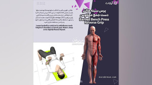 انیمیشن پرس سینه دست جمع معکوس
