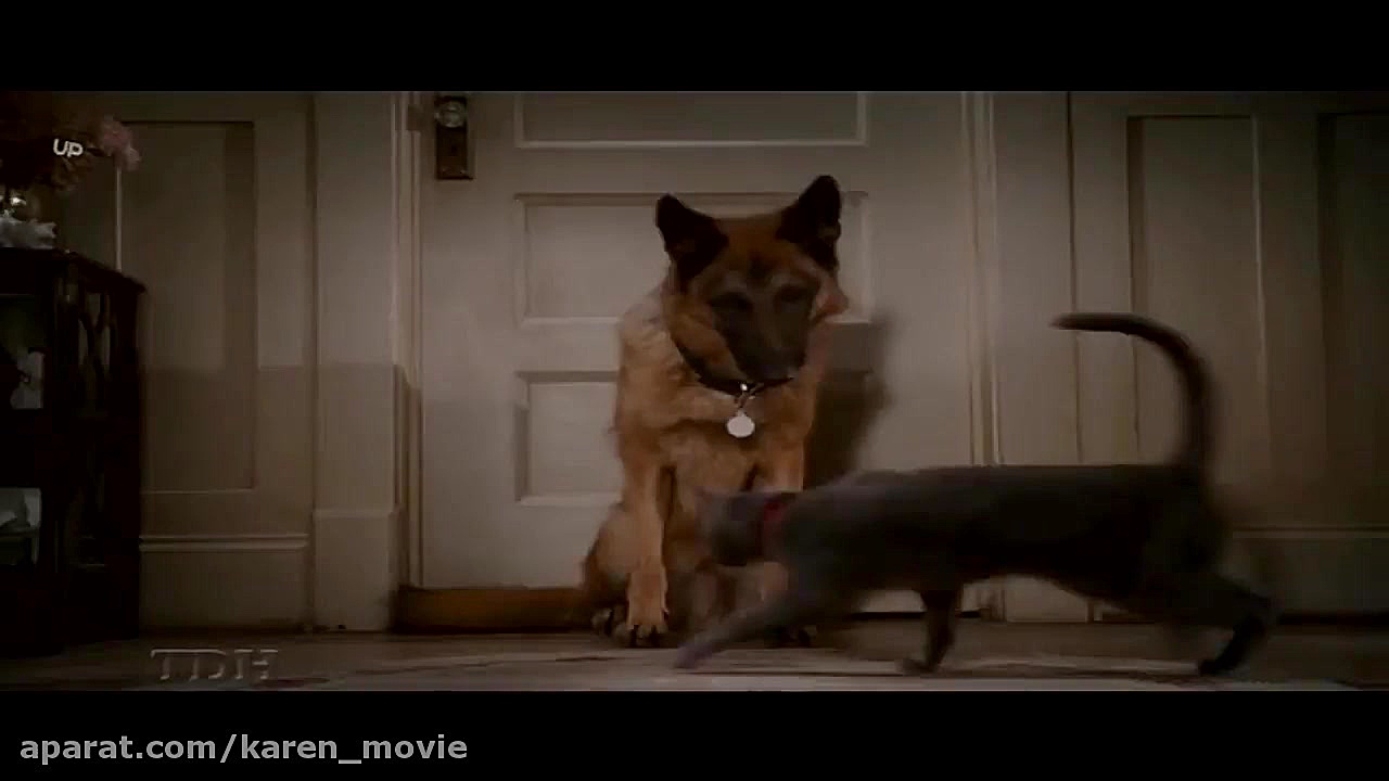 فیلم سینمای خارجی(گر بها وسگها...