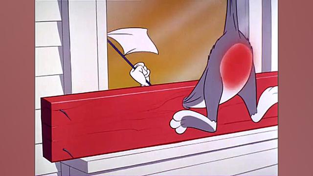 سریال انیمیشن تام و جری Tom An...