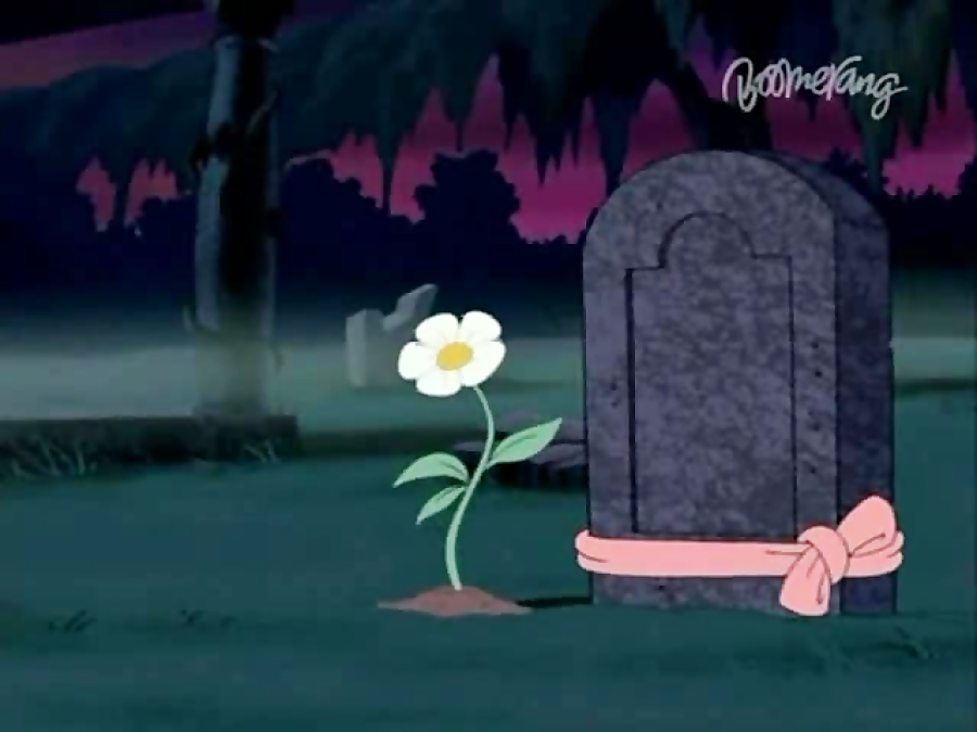 سریال انیمیشن تام و جری Tom An...