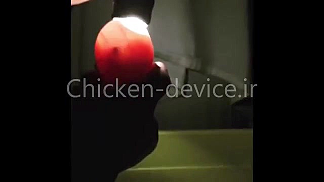 ویدیو نطفه سنجی تخم نطفه دار ا...