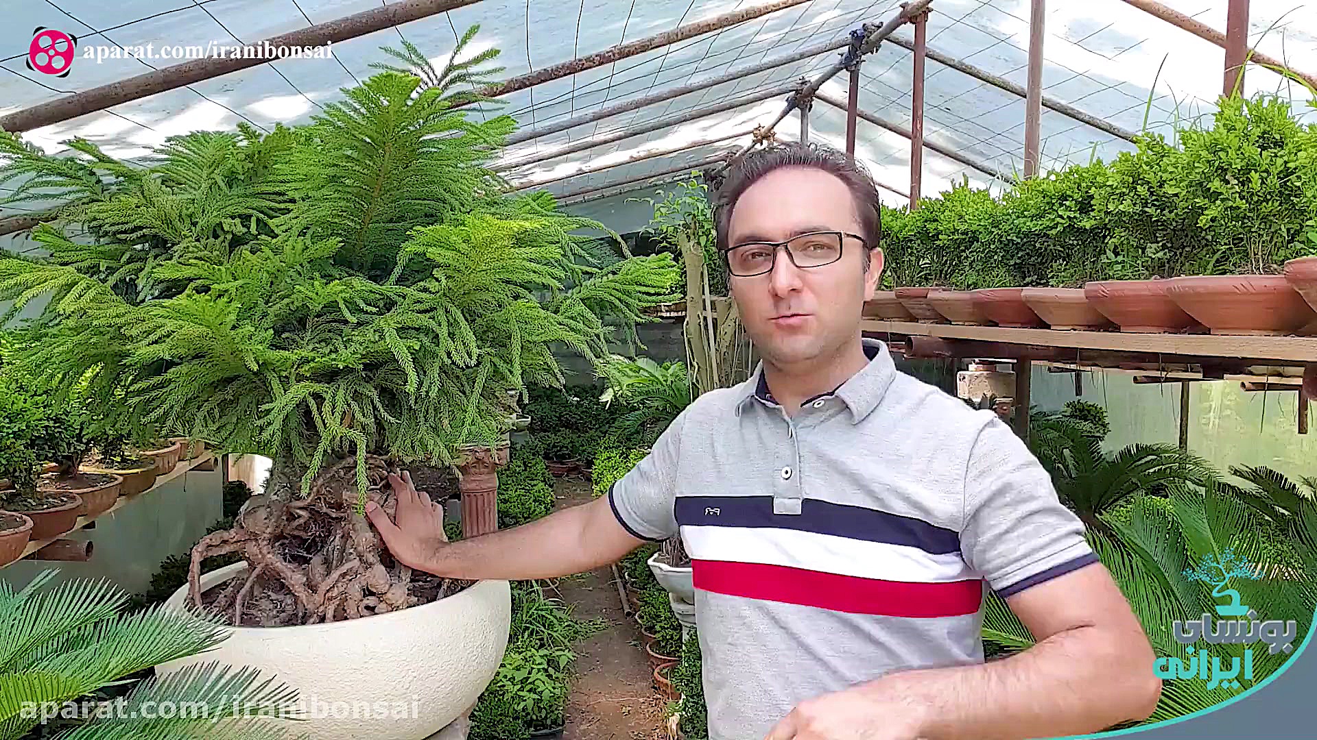 معرفی برترین گلخانه های ایران...