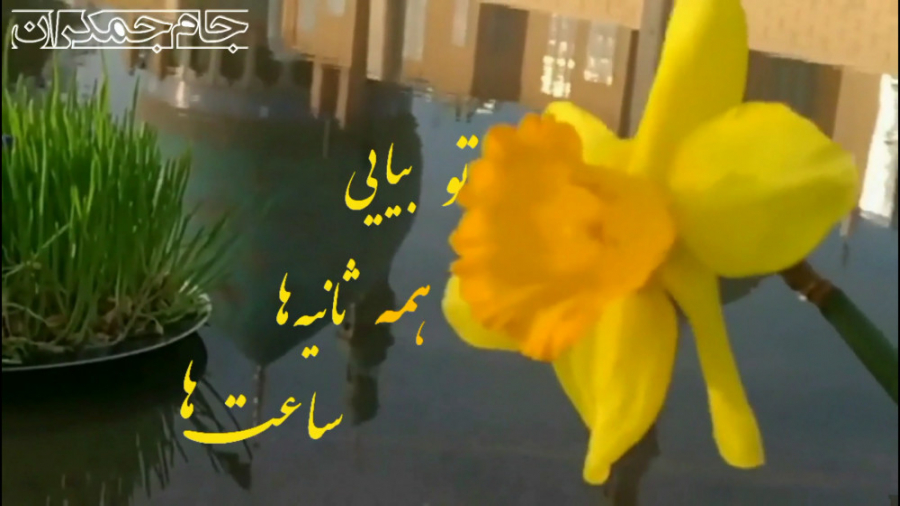 کلیپ تبریک نیمه شعبان