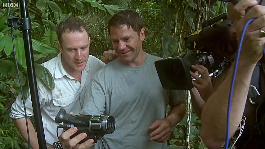 دنیای حیوانات  خزنده غول پیکر...