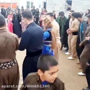 اهنگ و رقص کردی