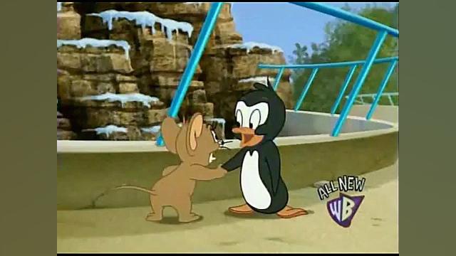 کارتون تام و جری  Tom and Jerr...