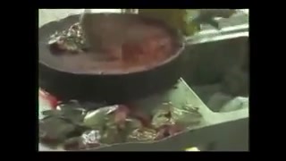 نهایت بی رحمی یک انسان با غورب...