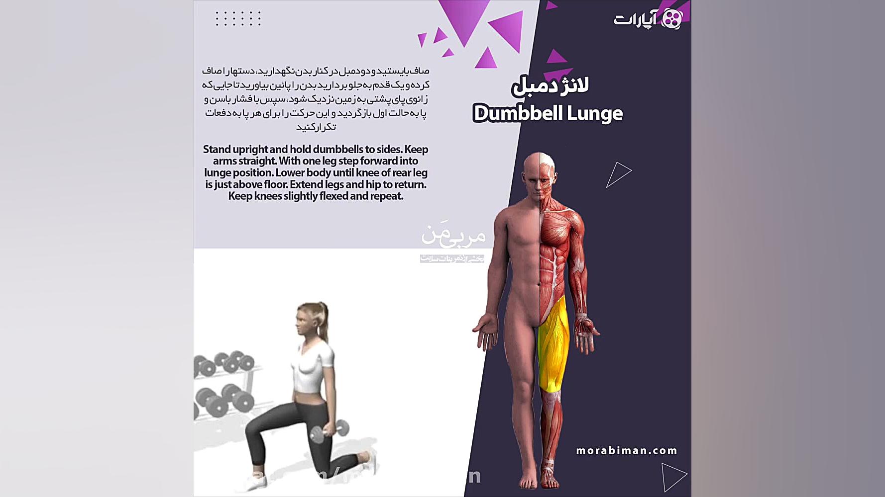 انیمیشن لانژ دمبل