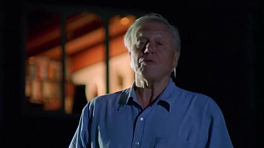 دنیای حیوانات  جفتگیری جوجه تی...