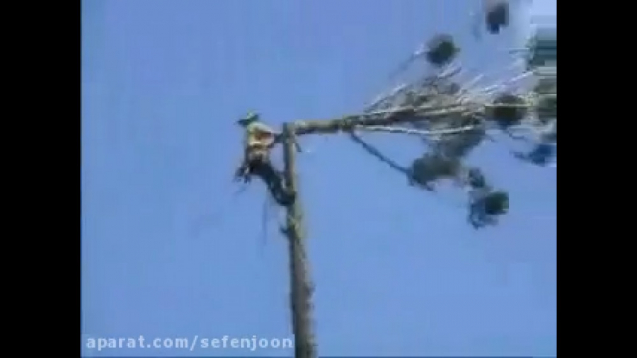 فیلم حوادث پربازدید