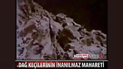 فیلم حیات وحش خیلی قدیمی