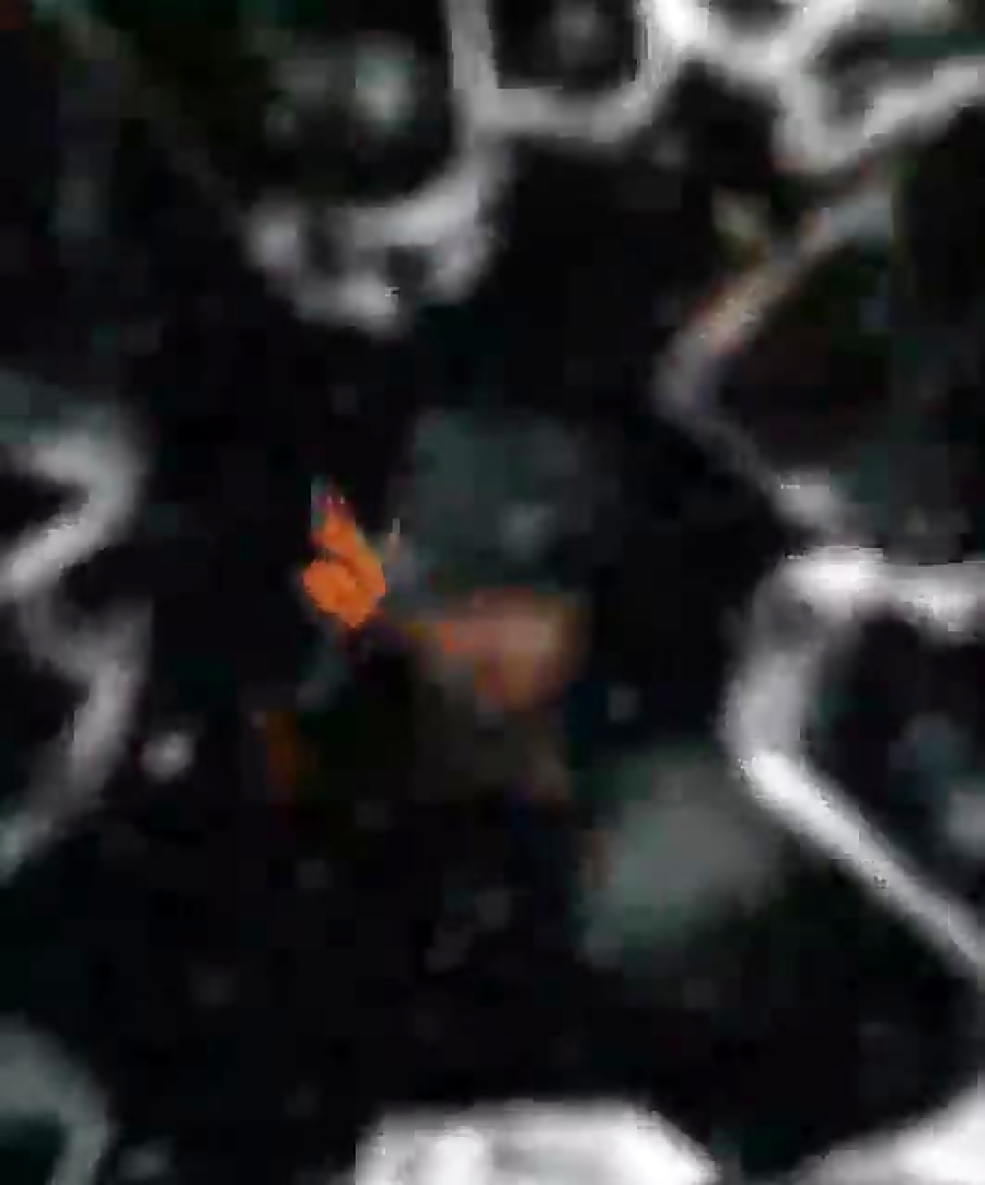 ویدیویی از نمایش &laquo;فرانکن...