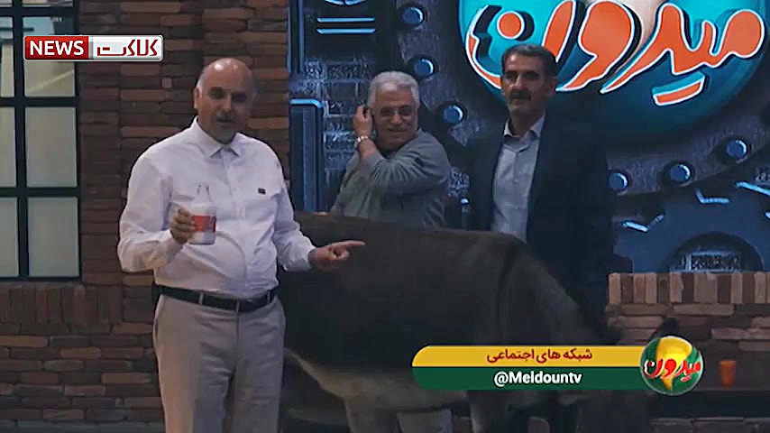 دوشیدن شیر الاغ در برنامه تلوی...