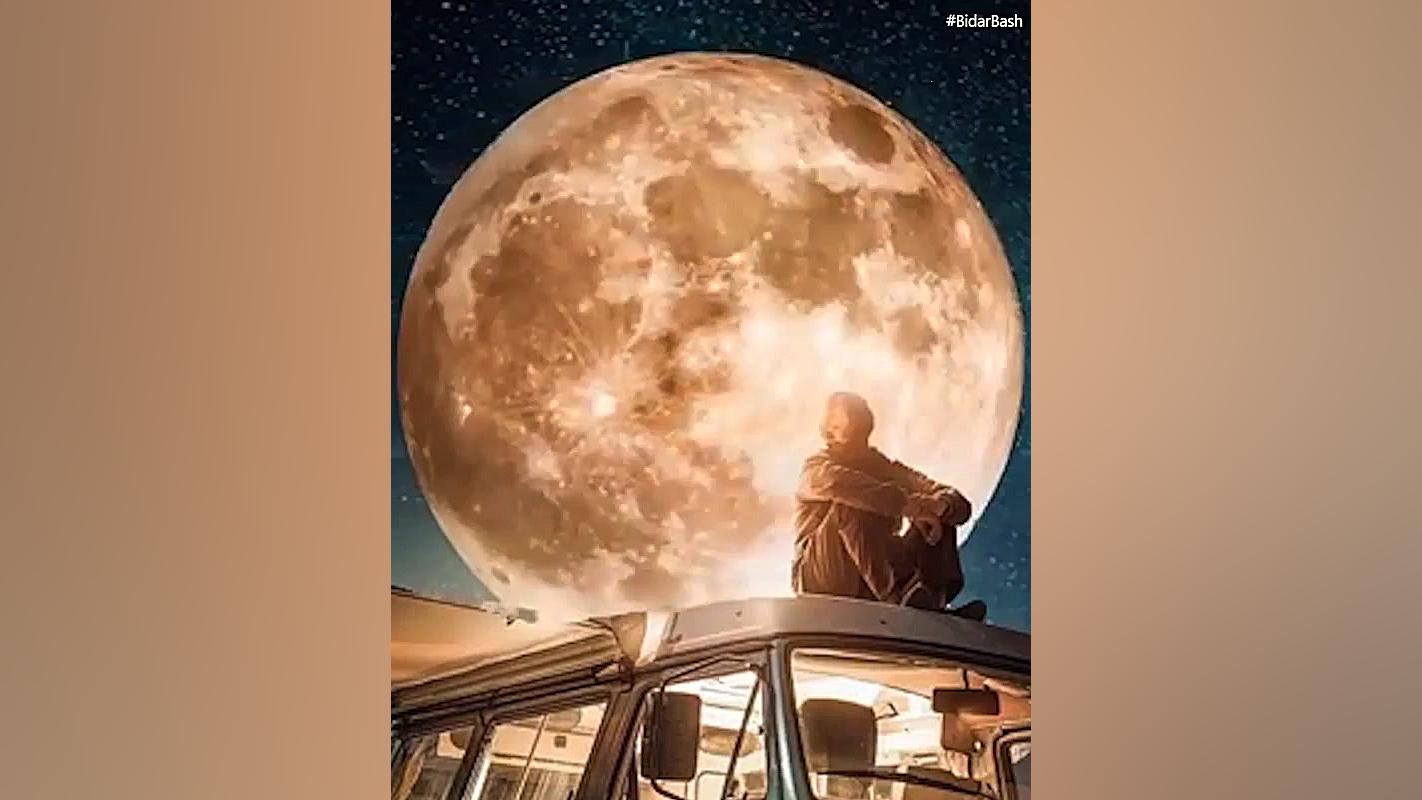 زقوم  سید حسن آقامیری