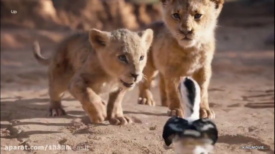 آهنگ شاد فیلم انیمیشن شیرشاه ۲...