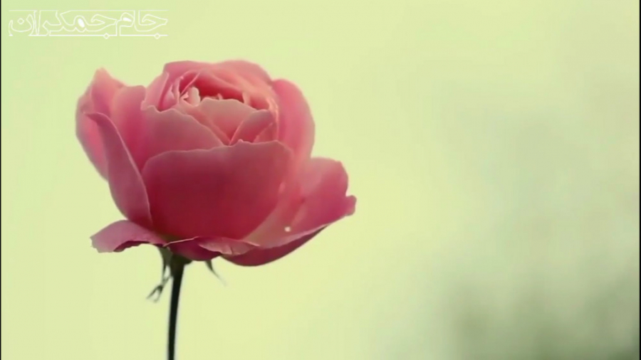 موسیقی آرامش بخش با صدای حبیب...