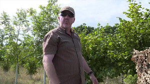 شکار کبوتر با تفنگ بادی دوربین...