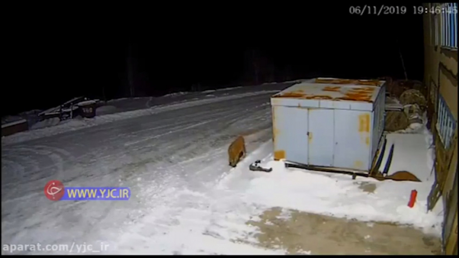 وحشت اهالی روستا از حمله احتما...