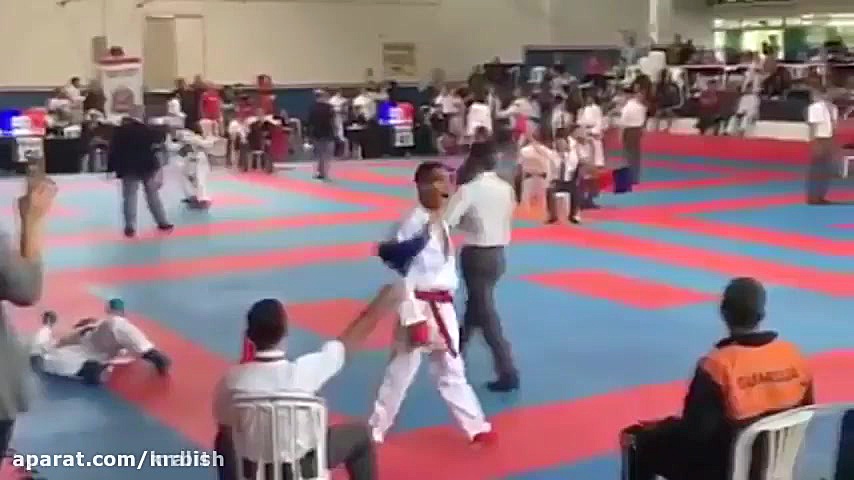 ده ناک اوت برتر در کاراته