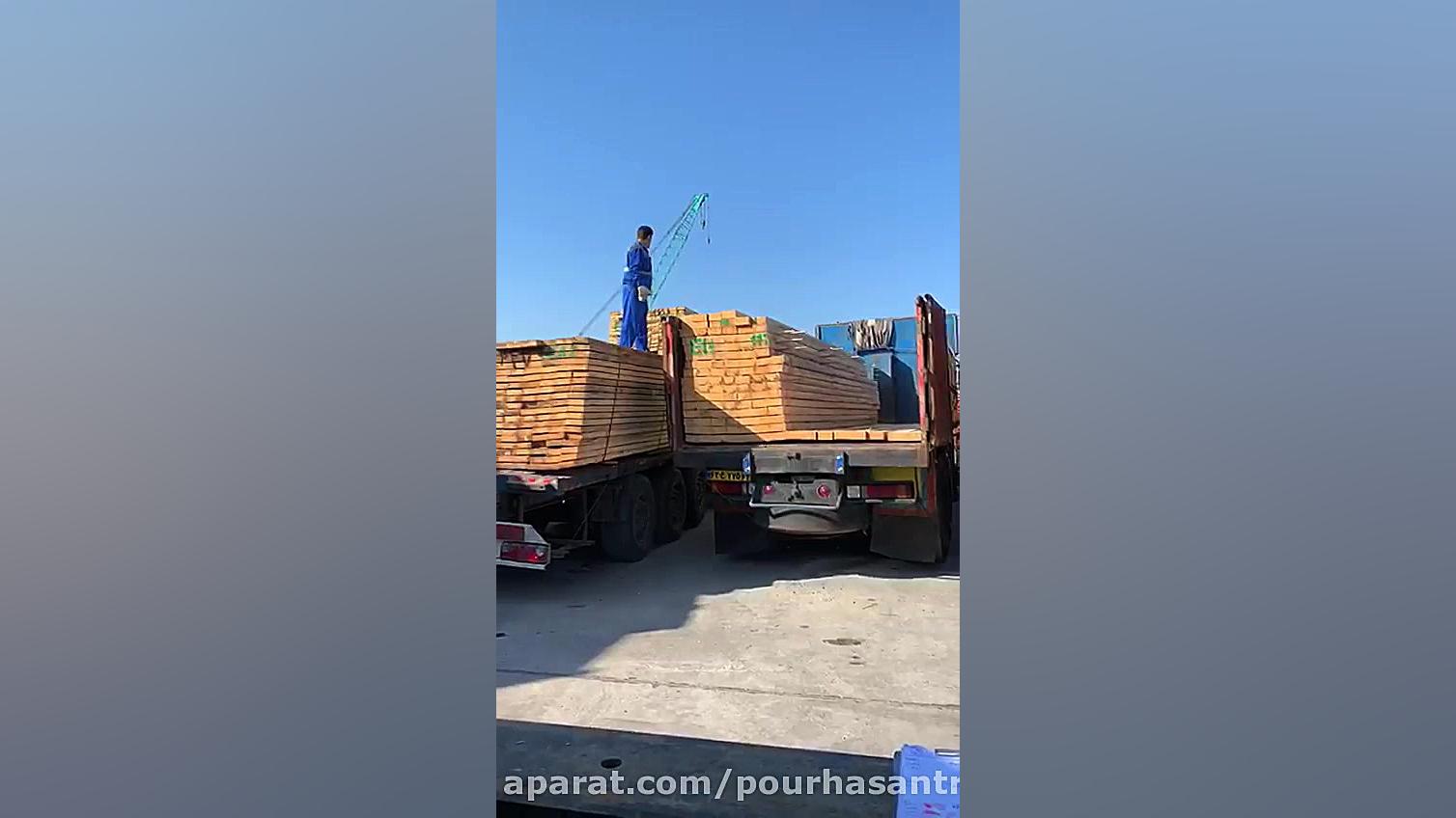 بارگیری و ارسال چوب های نراد ب...