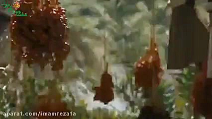 نماهنگ زیبای پیامبر(ص) از سامی...