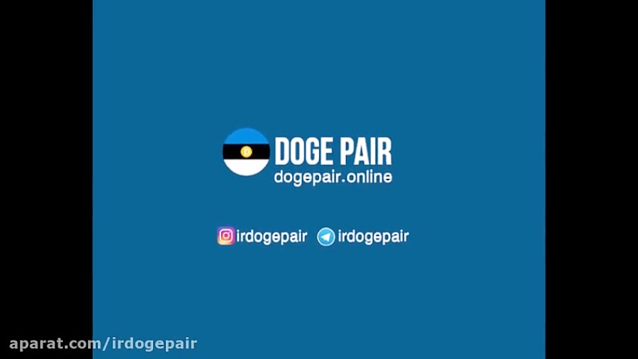 دوج کوین چیست